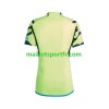 Maillot de Foot Arsenal Exterieur 2023/24